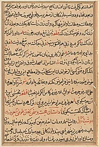 Page from Tales of a Parrot (Tuti-nama): text page by Unknown Artist