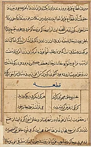 Page from Tales of a Parrot (Tuti-nama): text page by Unknown Artist