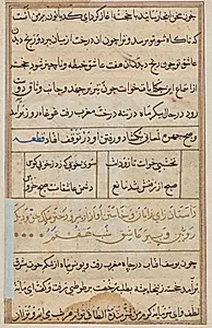 Page from Tales of a Parrot (Tuti-nama): text page by Unknown Artist