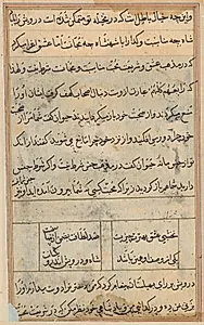 Page from Tales of a Parrot (Tuti-nama): text page by Unknown Artist