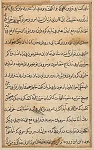Page from Tales of a Parrot (Tuti-nama): text page by Unknown Artist