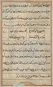 Page from Tales of a Parrot (Tuti-nama): text page by Unknown Artist