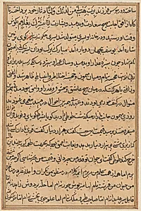 Page from Tales of a Parrot (Tuti-nama): text page by Unknown Artist