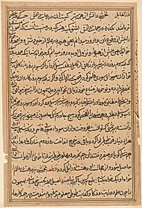 Page from Tales of a Parrot (Tuti-nama): text page by Unknown Artist