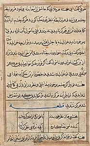 Page from Tales of a Parrot (Tuti-nama): text page by Unknown Artist