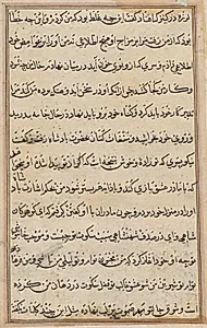 Page from Tales of a Parrot (Tuti-nama): text page by Unknown Artist