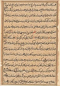 Page from Tales of a Parrot (Tuti-nama): text page by Unknown Artist
