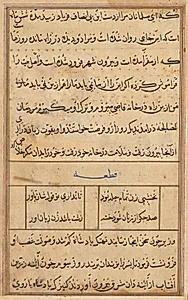Page from Tales of a Parrot (Tuti-nama): text page by Unknown Artist