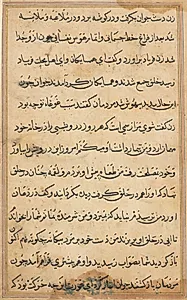 Page from Tales of a Parrot (Tuti-nama): text page by Unknown Artist