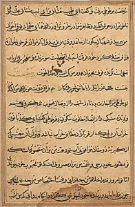 Page from Tales of a Parrot (Tuti-nama): text page by Unknown Artist