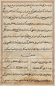 Page from Tales of a Parrot (Tuti-nama): text page by Unknown Artist