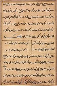 Page from Tales of a Parrot (Tuti-nama): text page by Unknown Artist
