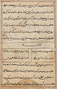 Page from Tales of a Parrot (Tuti-nama): text page by Unknown Artist