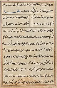 Page from Tales of a Parrot (Tuti-nama): text page by Unknown Artist