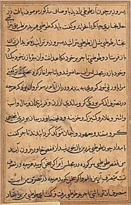 Page from Tales of a Parrot (Tuti-nama): text page by Unknown Artist