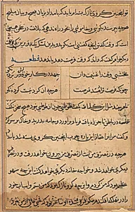 Page from Tales of a Parrot (Tuti-nama): text page by Unknown Artist