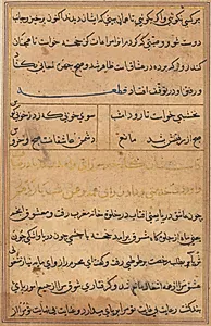 Page from Tales of a Parrot (Tuti-nama): text page by Unknown Artist