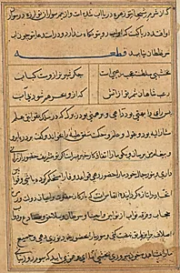Page from Tales of a Parrot (Tuti-nama): text page by Unknown Artist