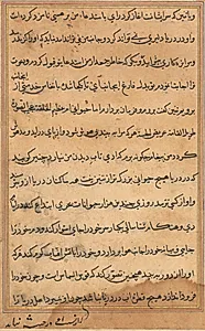 Page from Tales of a Parrot (Tuti-nama): text page by Unknown Artist