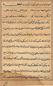 Page from Tales of a Parrot (Tuti-nama): text page by Unknown Artist
