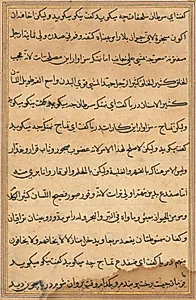 Page from Tales of a Parrot (Tuti-nama): text page by Unknown Artist