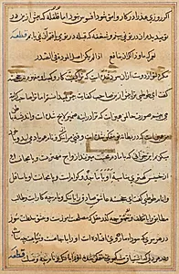 Page from Tales of a Parrot (Tuti-nama): text page by Unknown Artist