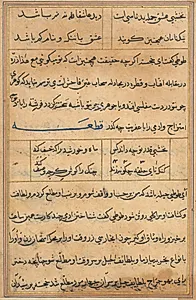 Page from Tales of a Parrot (Tuti-nama): text page by Unknown Artist