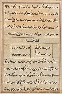 Page from Tales of a Parrot (Tuti-nama): text page by Unknown Artist