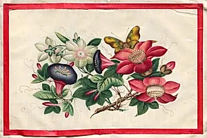 Painting Eleven from Illustrated Book of Flowers and Butterflies by Unknown Artist