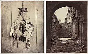 Partridges (recto); L.D. Campbell's Tomb (verso) by Captain N. Baily (British)