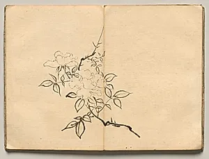 Peony from Ōkyo Picture Book by Maruyama Ōkyo (Japanese, 1733–1795)