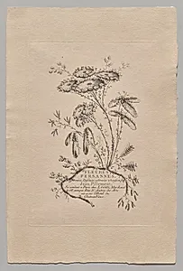 Persian Flowers