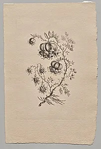 Persian Flowers