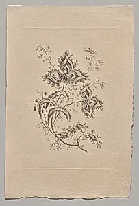 Persian Flowers