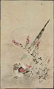 Pheasant and Grasses by Ogata Kōrin (Japanese, 1658–1716)