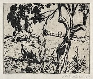 Pigs in Orchard