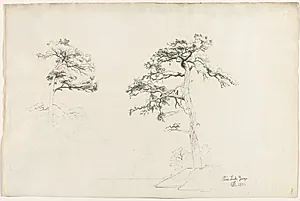 Pine, Lake George by David Johnson (American, 1827–1908)