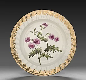 Plate from Dessert Service: Double Groundsell or Ragwort by Derby (Crown Derby Period) (British)