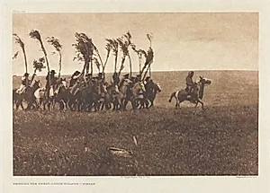 Portfolio VI, Plate 205: Bringing the Sweat-Lodge Willows - Piegan by Edward S. Curtis (American, 1868–1952)