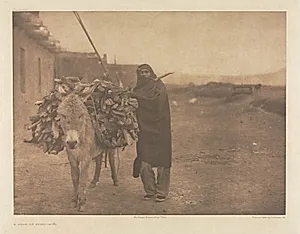 Portfolio XVII, Plate 608: A Load of Fuel - Zuñi by Edward S. Curtis (American, 1868–1952)