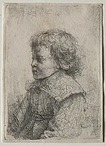 Portrait of a Boy in Profile by Rembrandt van Rijn (Dutch, 1606–1669)
