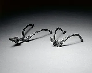 Pricked Spur by Unknown Artist