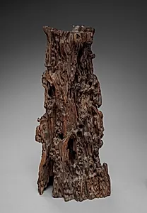 Prunus Wood by Unknown Artist