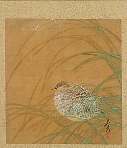 Quail in Grass from Album of Paintings by the Venerable Zeshin by Shibata Zeshin (Japanese, 1807–1891)