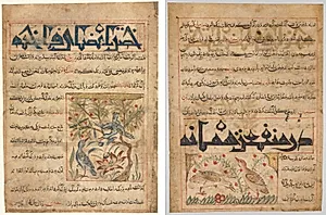 Qualities of Ringdoves (recto); On the Benefits of Quails (verso), from a Persian Manafi‘ al-Hayawan (The Benefits of Animals) of Abu Said Ubaid-Allah ibn Jibrail ibn Bakhtishu (died 1058–68) by Unknown Artist
