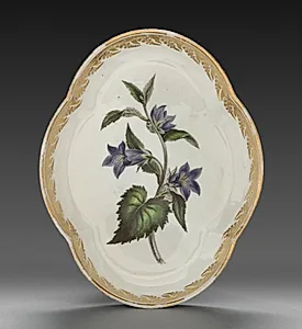 Quatrelobed Dish from Dessert Service: Nettle-leaved Bell Flower by Derby (Crown Derby Period) (British)