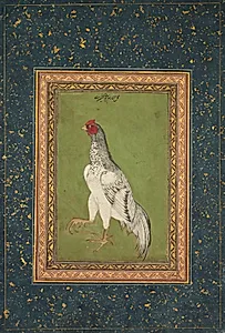 Rooster by Unknown Artist