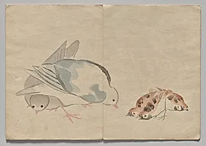 Scene from The Kōrin Picture Book (Volume 1) by Nakamura Hōchū (Japanese, d. 1819)