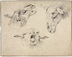 Sheep Heads by Wouter Verschuur (Dutch, 1812–1874)