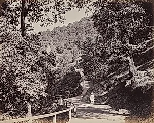 Shimla. The Mall near Rabq Lodge by Samuel Bourne (British, 1834–1912)